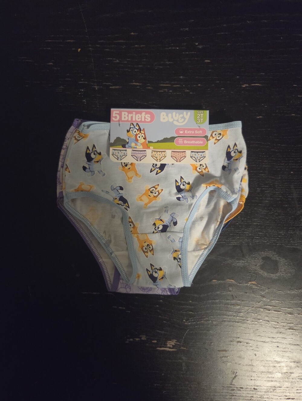 Bluey Girls 5-Pack Cotton Brief Underwear Multicolor Bluey & Bingo 3T